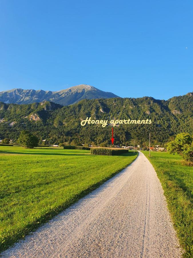 Honey Apartments Zirovnica Bagian luar foto
